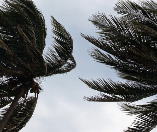 Charterland insurance